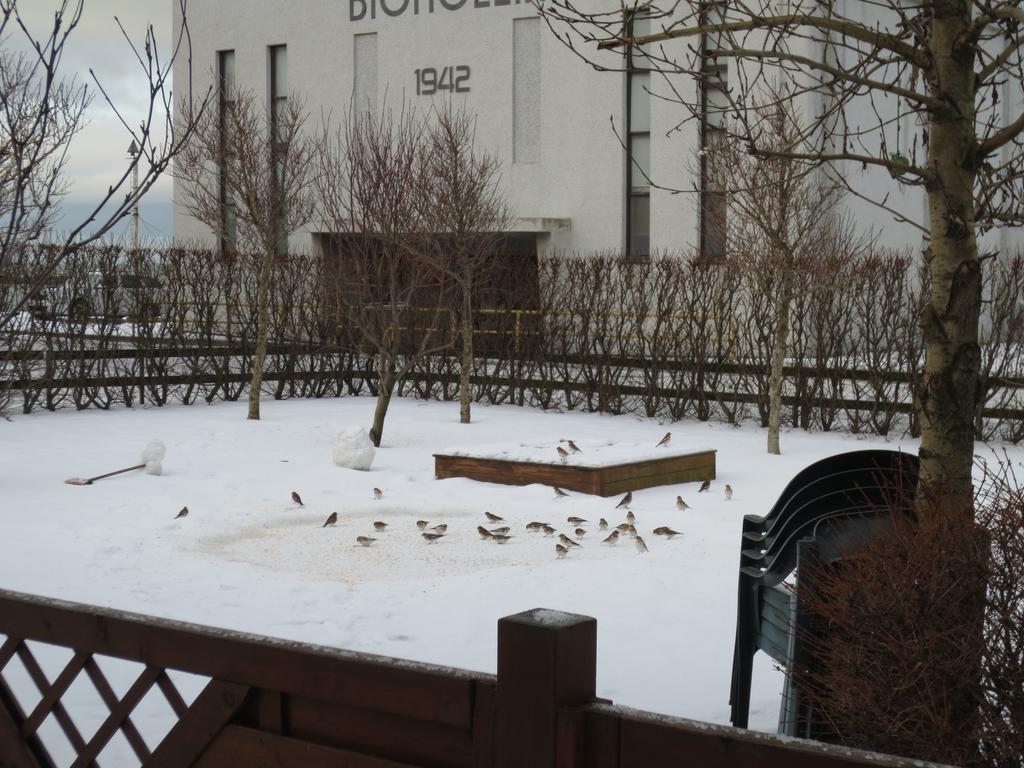 Teigur Guesthouse Akranes Bagian luar foto